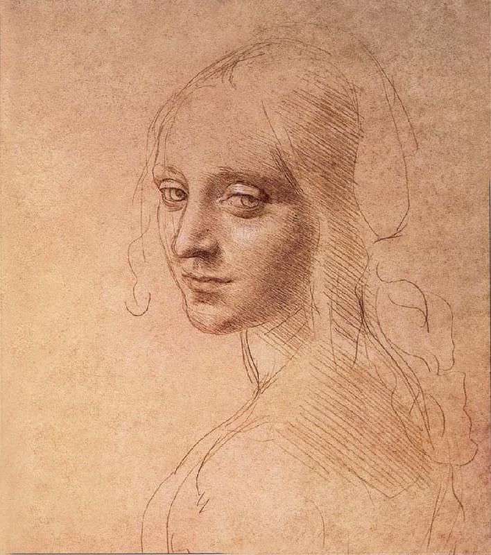LEONARDO da Vinci Portrat of a Madchens oil painting image